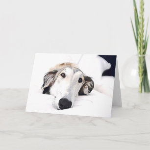 Anúncio amor Borzoi