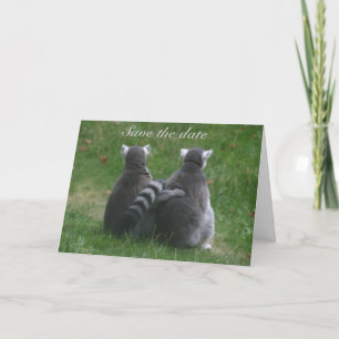 Anúncio Amor do Lemur! . Salvar a data