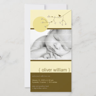 Anúncio Anunciamento de Nascimento do Bebê do Pássaro e Fa