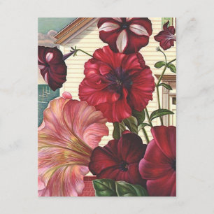 Anúncio Anunciamos as Flores de Petunia para casa