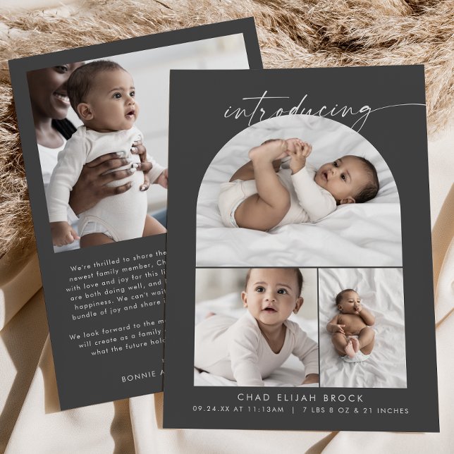 Anúncio Arca Modern Boho | Cinza Foto Collage Birds (Criador carregado)