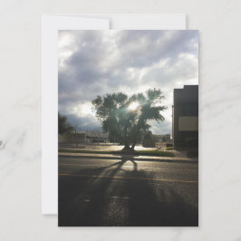 Anúncio Árvore de cidades