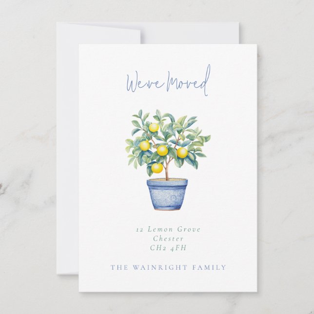 Anúncio Árvore de Limão Potente Mudamos Novo Endereço (Frente)