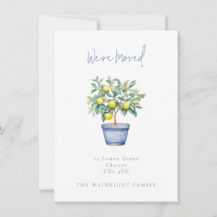 Anúncio Árvore de Limão Potente Mudamos Novo Endereço