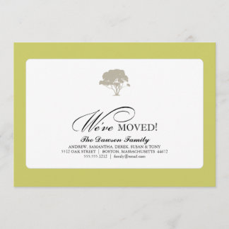 Anúncio árvore genealógica {movemos}