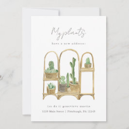 Anúncio As minhas plantas têm uma nova mudança de casa