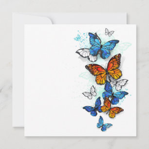 Anúncio Borboletas voadoras Morpho e Monarca