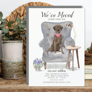 Anúncio Brown Labrador Retriever Dog   Moving Announcement