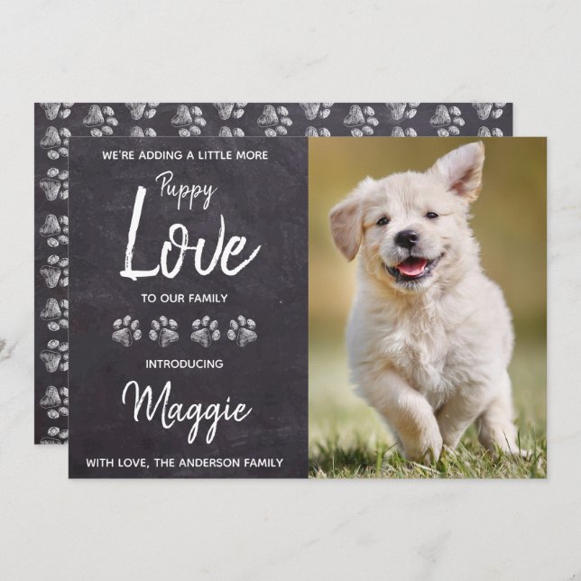 Anúncio Cachorro Adormecido Novo Pet (Frente/Verso)