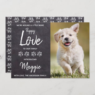 Anúncio Cachorro Adormecido Novo Pet