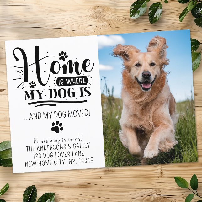 Anúncio Cachorro Bonito Em Movimento, Movemos Pet Personal (Criador carregado)