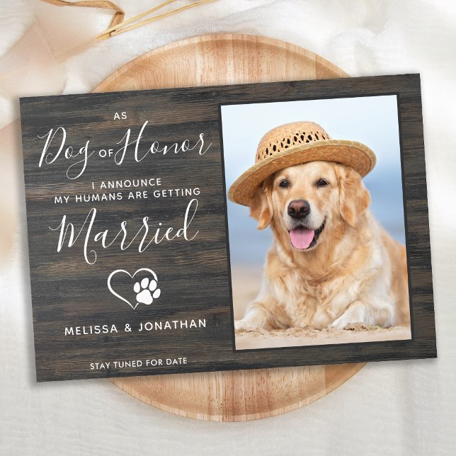 Anúncio Cachorro de Honra Rústico Foto Pet Casamento Noiva (Criador carregado)
