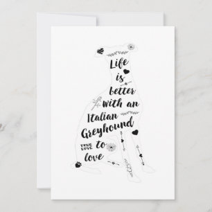 Anúncio Cachorro italiano Greyhound Design italiano
