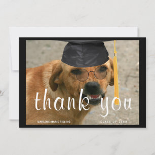 Anúncio Cachorro Personalizado com Tassel