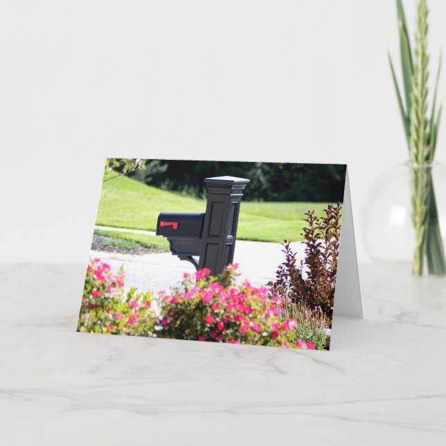 Anúncio Caixa postal nova do endereço (Frente)