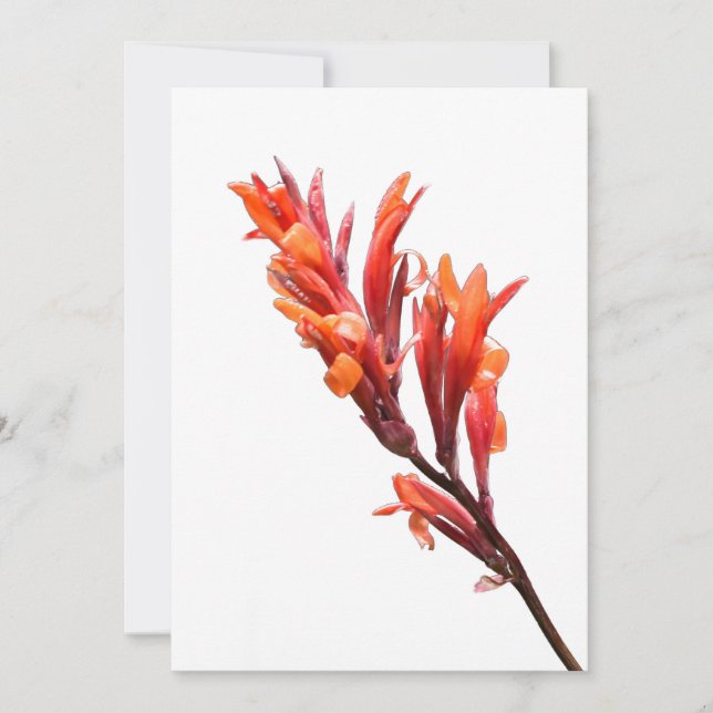 Anúncio Canna Flaming (Frente)