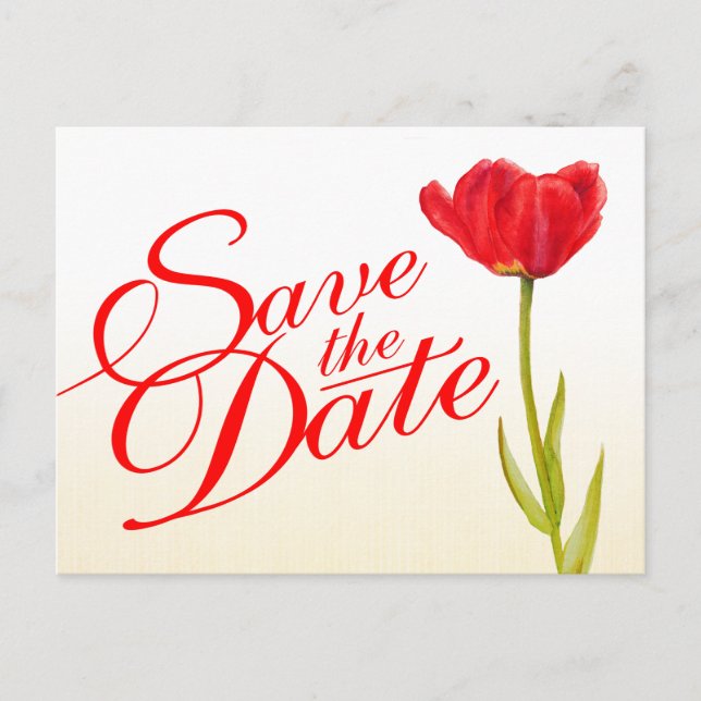 Anúncio Cartão postal de casamento 'Save the Date' com tul (Frente)