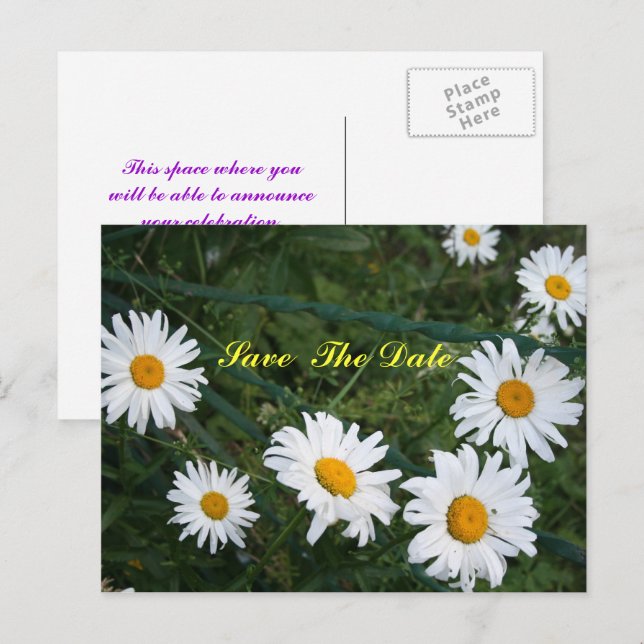 Anúncio Cartão postal de círculo de margaridas para salvar (Frente/Verso)