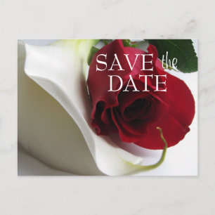 Anúncio Cartão postal de data de salva Calla/Rosa