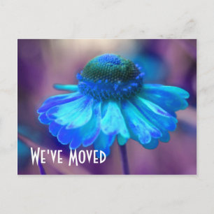 Anúncio Cartão postal floral de novo endereço Blue Zinnia