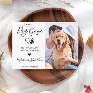 Anúncio Casamento Divertido de Animais de Estimação Foto M
