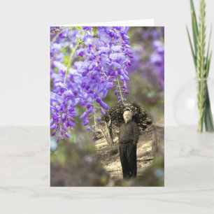 Anúncio Celebração da Wisteria