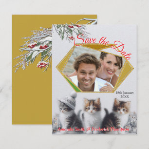 Anúncio Celebrações de inverno na neve, com Kittens