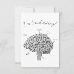 Anúncio Cérebro Científico