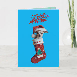 Anúncio Chihuahua Christmas