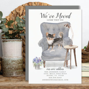 Anúncio Chihuahua Dog, mudamos o lançamento