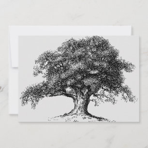 Anúncio Cinza do Partido Sindicato de Ancestralidade da Ár