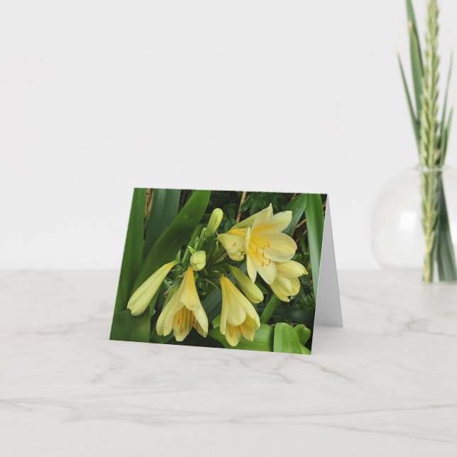 Anúncio Clássicos amarelos-limos (Frente)