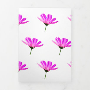 Anúncio Com Dobra Tripla Margarida Rosa