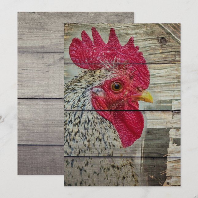 Anúncio Coop de Galinha Russo Rooster (Frente/Verso)