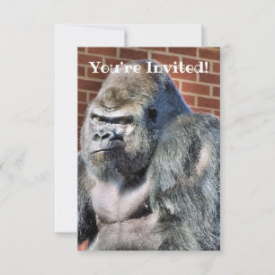 ANÚNCIO CUTE GORILLA