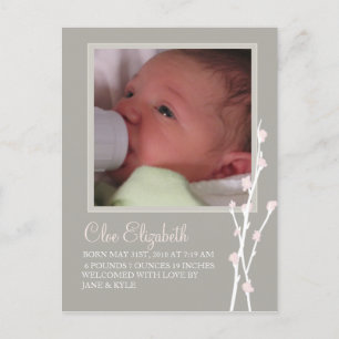 Anúncio da cinza e do Flor Rosa 2