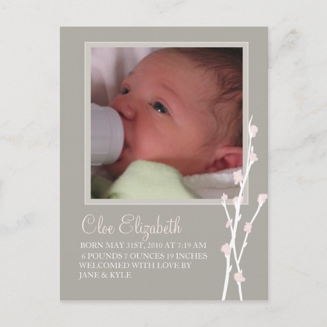 Anúncio da cinza e do Flor Rosa 2 (Frente)