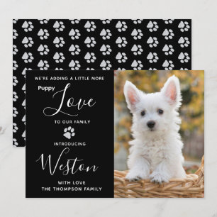 Anúncio da Cupada - Novo Pet Negra Elegante