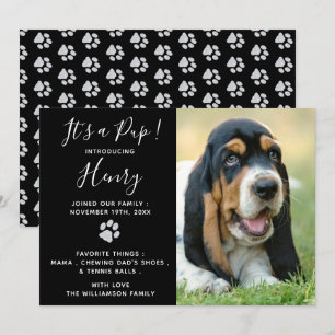 Anúncio da Cupada - Novo Pet Negra Elegante