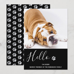 Anúncio da Cupada - Novo Pet Negra Elegante