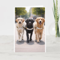 Anúncio da Equipe do Cão Guia: Juntos à Frente