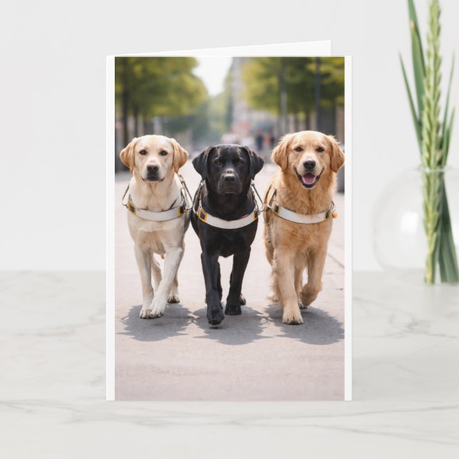 Anúncio da Equipe do Cão Guia: Juntos à Frente (Frente)