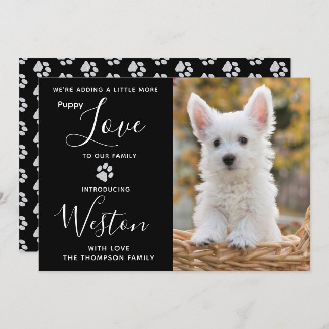 Anúncio da "Puppy" - Novo Pet Negra Elegante (Frente/Verso)