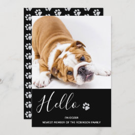 Anúncio da "Puppy" - Novo Pet Negra Elegante