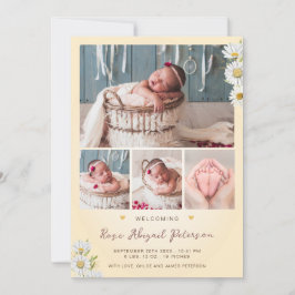 Anúncio Daisy Wildflower Dando boas-vindas à recém-nascida