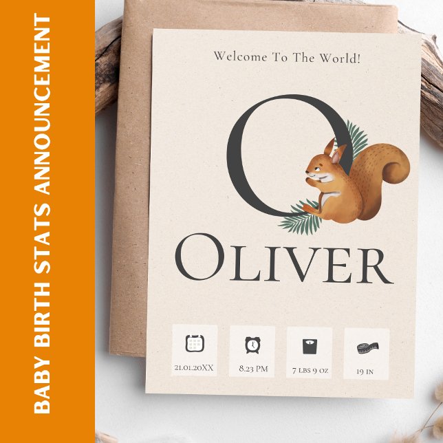 Anúncio das estatísticas de natalidade do bebê do  (Cute Chipmunk Baby Birth Stats Announcement)
