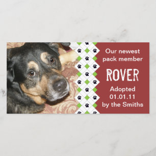 Anúncio de adoção de cães/pães