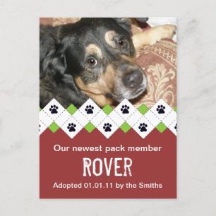 Anúncio de Adoção de Cão/Filhote