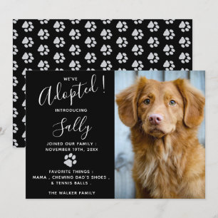 Anúncio de Adoção de Pet - Novo Pet Moderno Ele