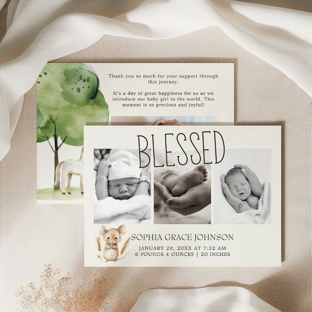 Anúncio de bebê de pequenos animais de Fazenda (Criador carregado)